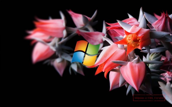 712863653-Windows8-wallpaper-590x368