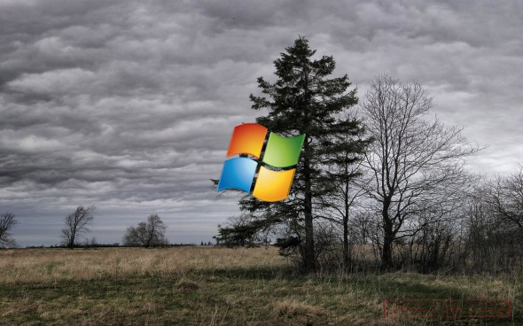 819042658-Windows8-wallpaper-590x368