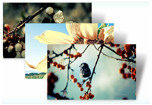 Garden-Seasons1
