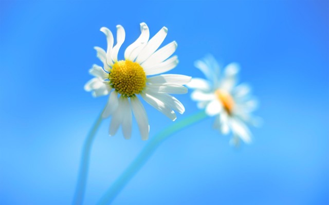 default-wallpaper-640x400