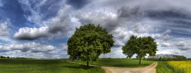 fork-in-the-road-640x247